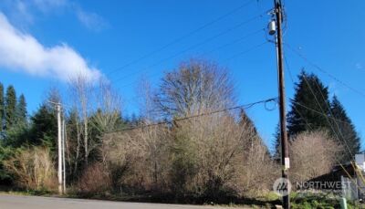 120 Pattison Street NE, Olympia, WA 98506 - Photo 4