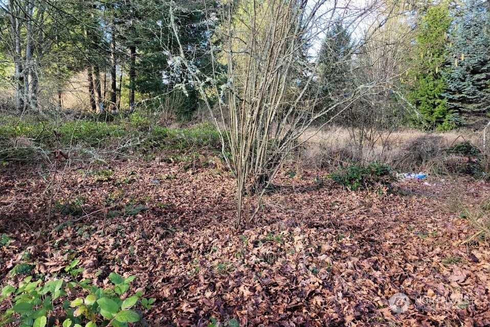 120 Pattison Street NE, Olympia, WA 98506