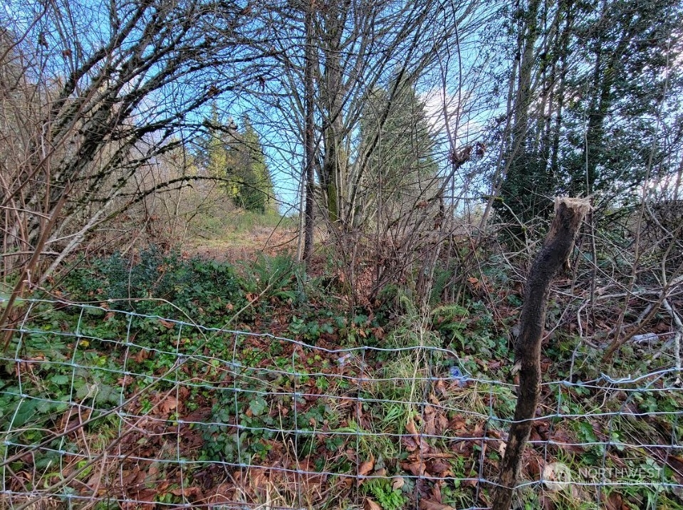 120 Pattison Street NE, Olympia, WA 98506