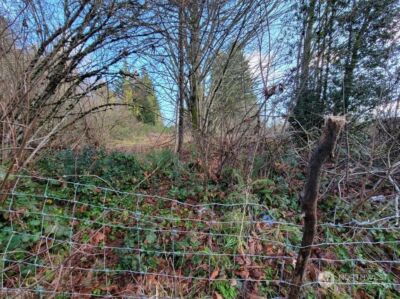 120 Pattison Street NE, Olympia, WA 98506 - Photo 6