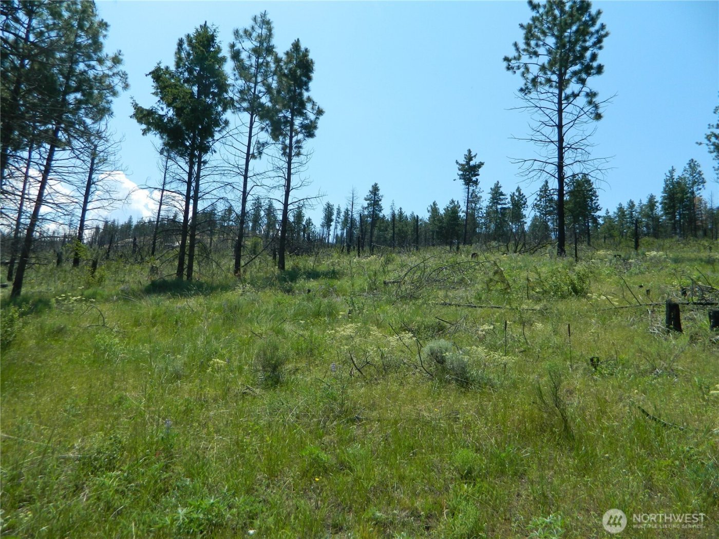 428 Five Mile Road , Tonasket, WA 98855