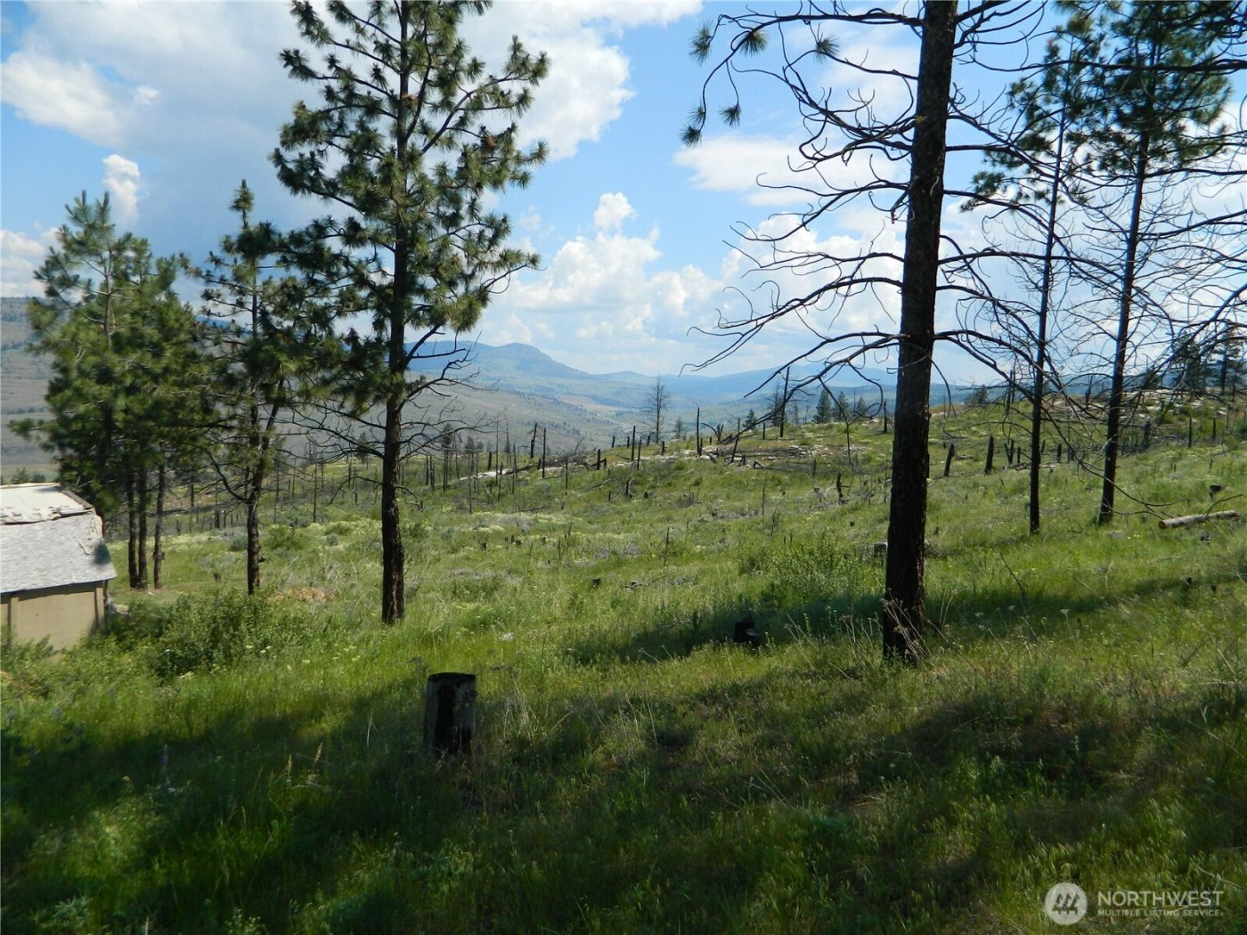 428 Five Mile Road , Tonasket, WA 98855