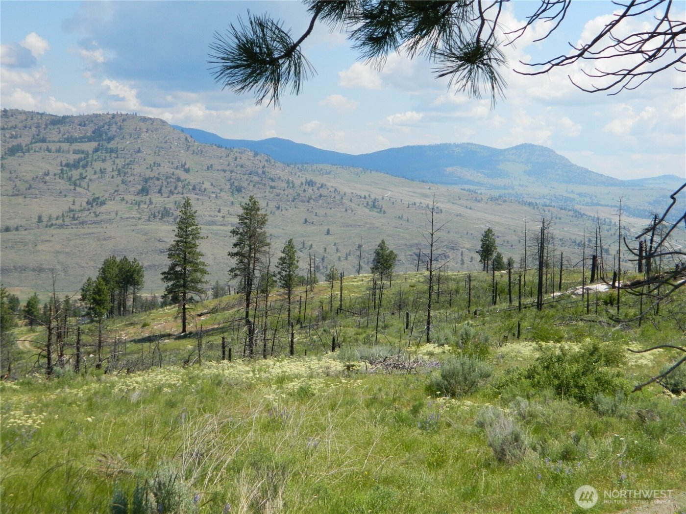 428 Five Mile Road , Tonasket, WA 98855