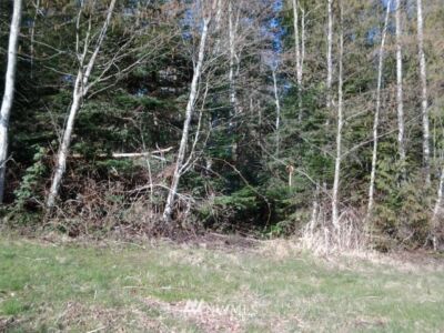 0 A Avenue , Anacortes, WA 98221