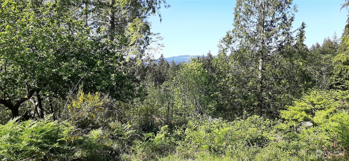 200 NE WJ Way , Belfair, WA 98528