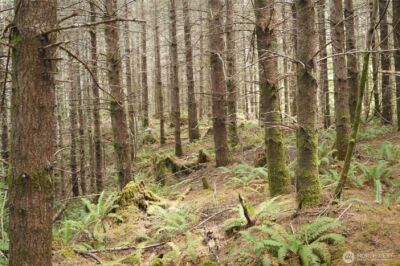 0 NKA Brooklyn Road , Oakville, WA 98568 - Photo 1