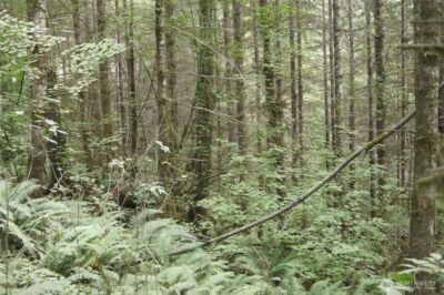 0 NKA Brooklyn Road , Oakville, WA 98568 - Photo 2