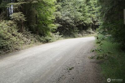 0 NKA Brooklyn Road , Oakville, WA 98568 - Photo 4