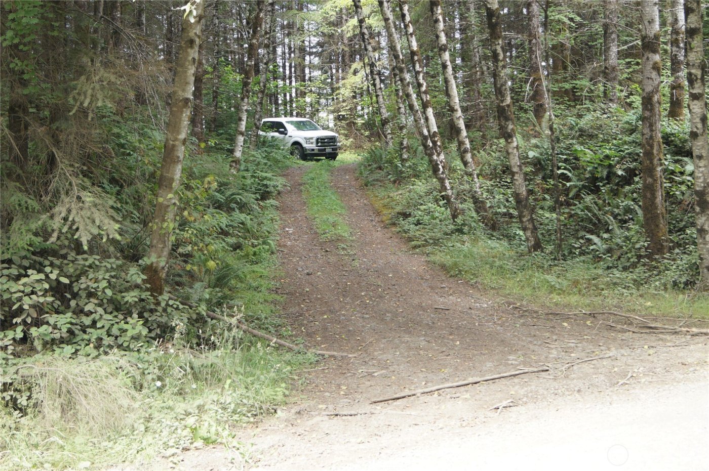 0 NKA Brooklyn Road , Oakville, WA 98568