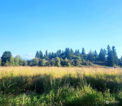 400 XX 200th Avenue SE, Enumclaw, WA 98022 - Photo 8