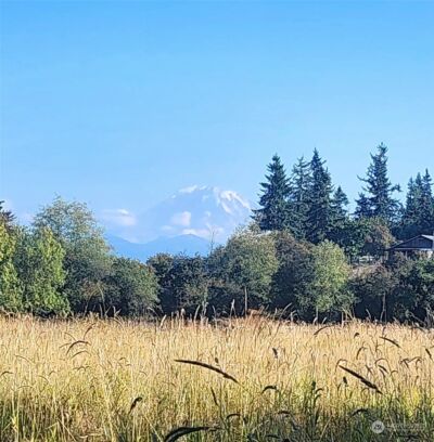 400 XX 200th Avenue SE, Enumclaw, WA 98022 - Photo 10
