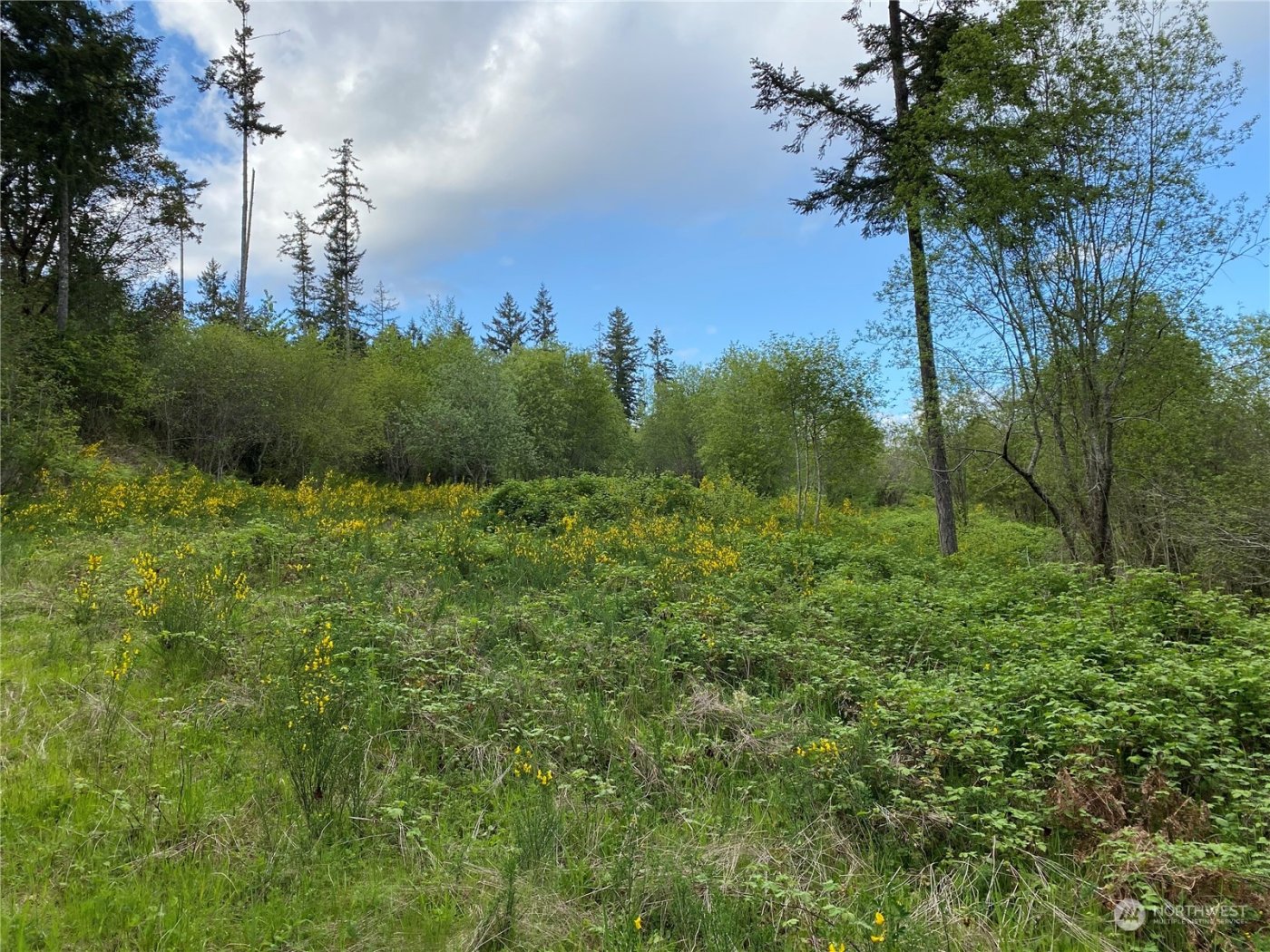 18703 SR 302 , Gig Harbor, WA 98329