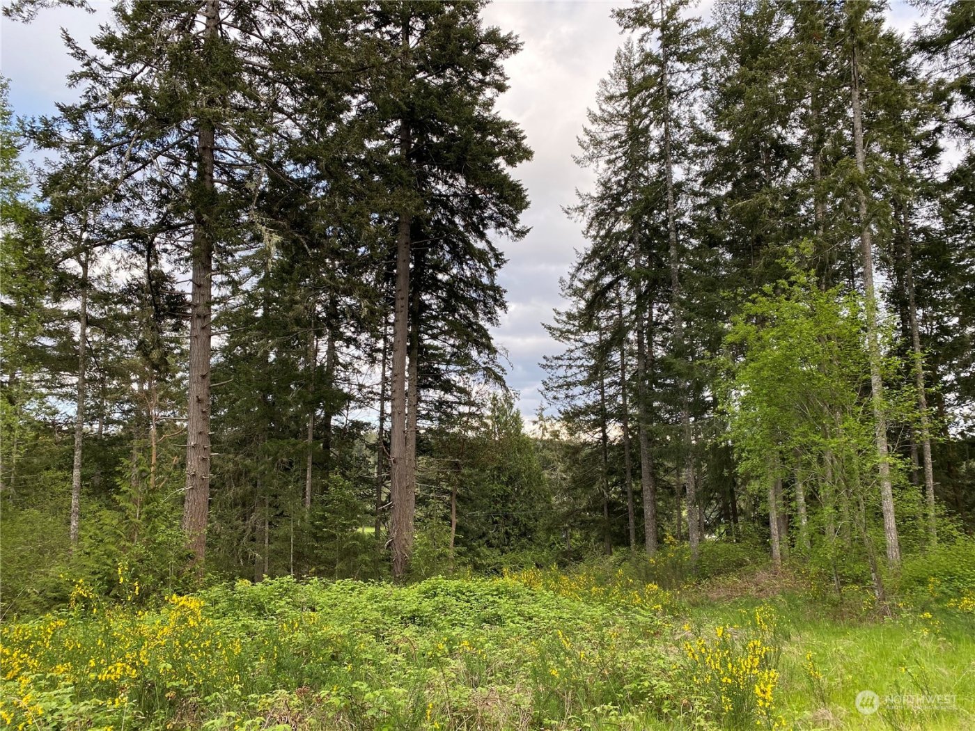 18703 SR 302 , Gig Harbor, WA 98329