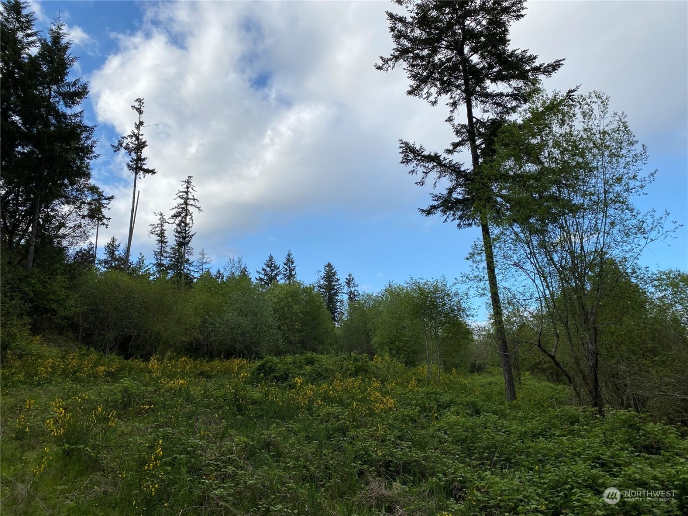 18703 SR 302 , Gig Harbor, WA 98329