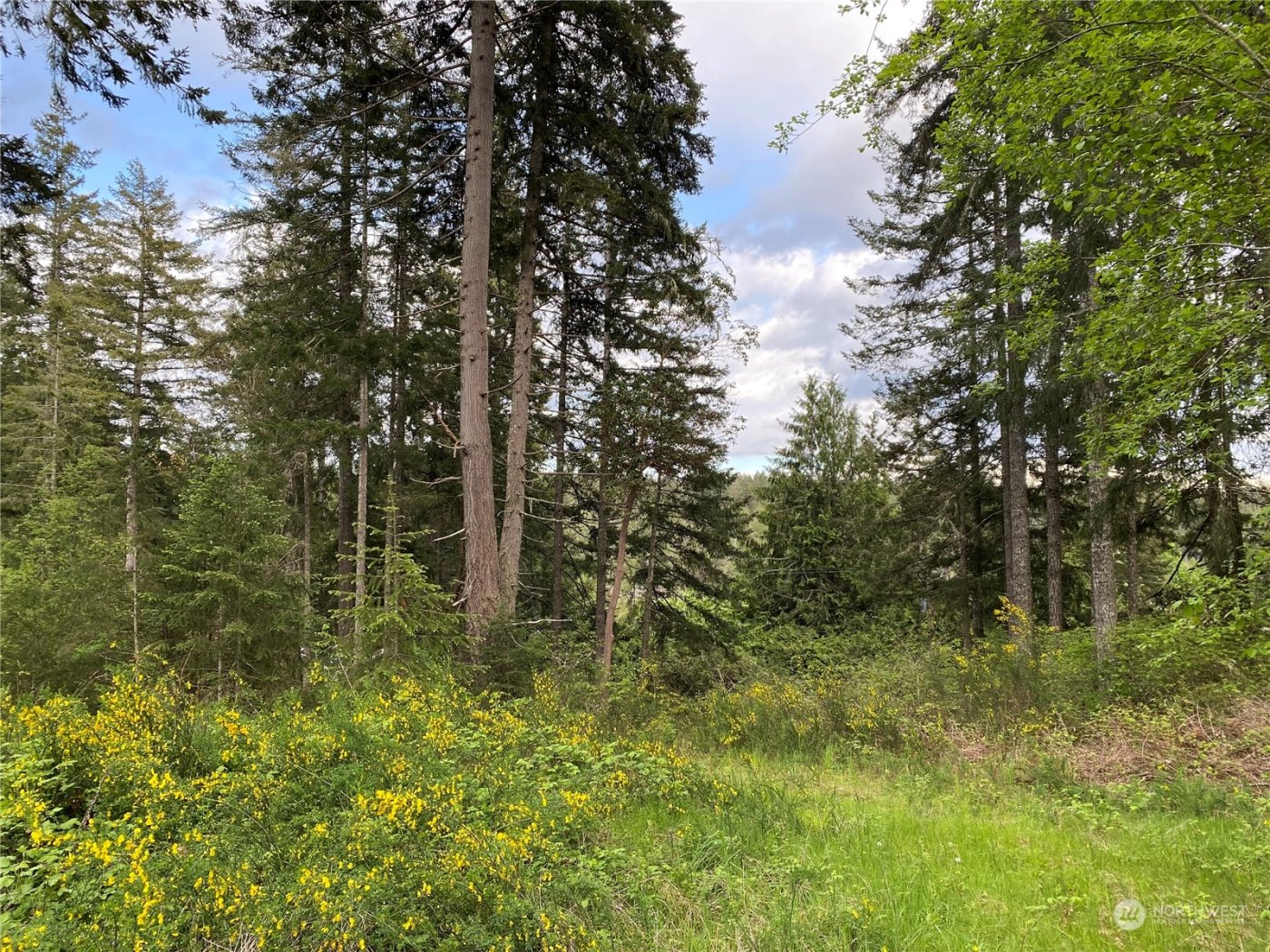 18703 SR 302 , Gig Harbor, WA 98329