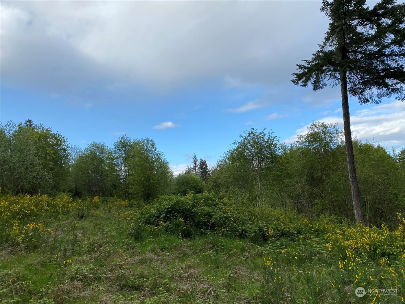 18703 SR 302 , Gig Harbor, WA 98329