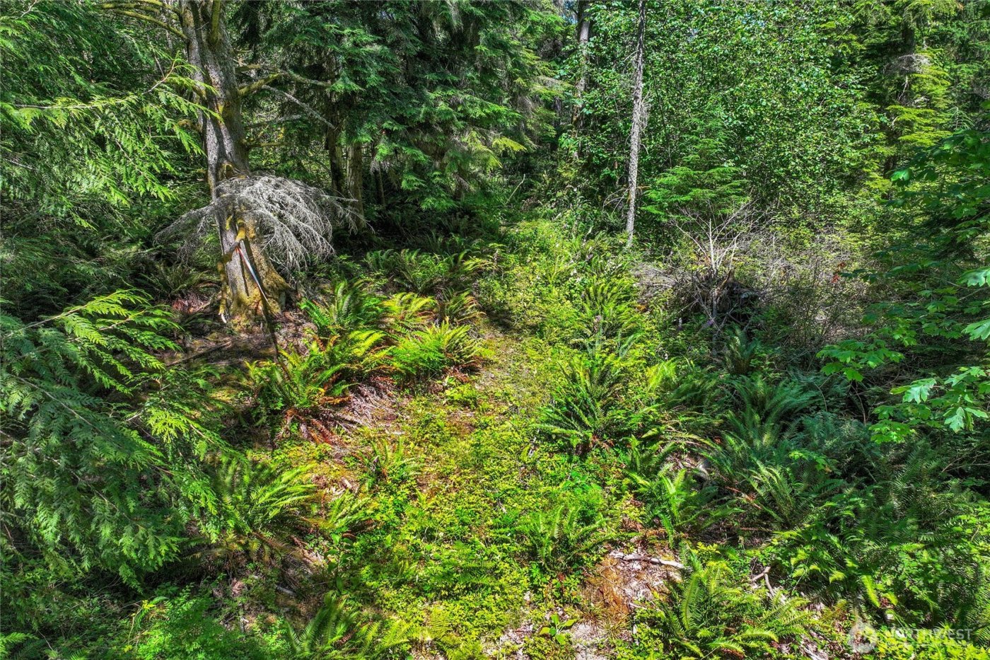 189 xx 209th Avenue SE, Monroe, WA 98272