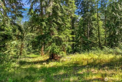 189 xx 209th Avenue SE, Monroe, WA 98272 - Photo 15