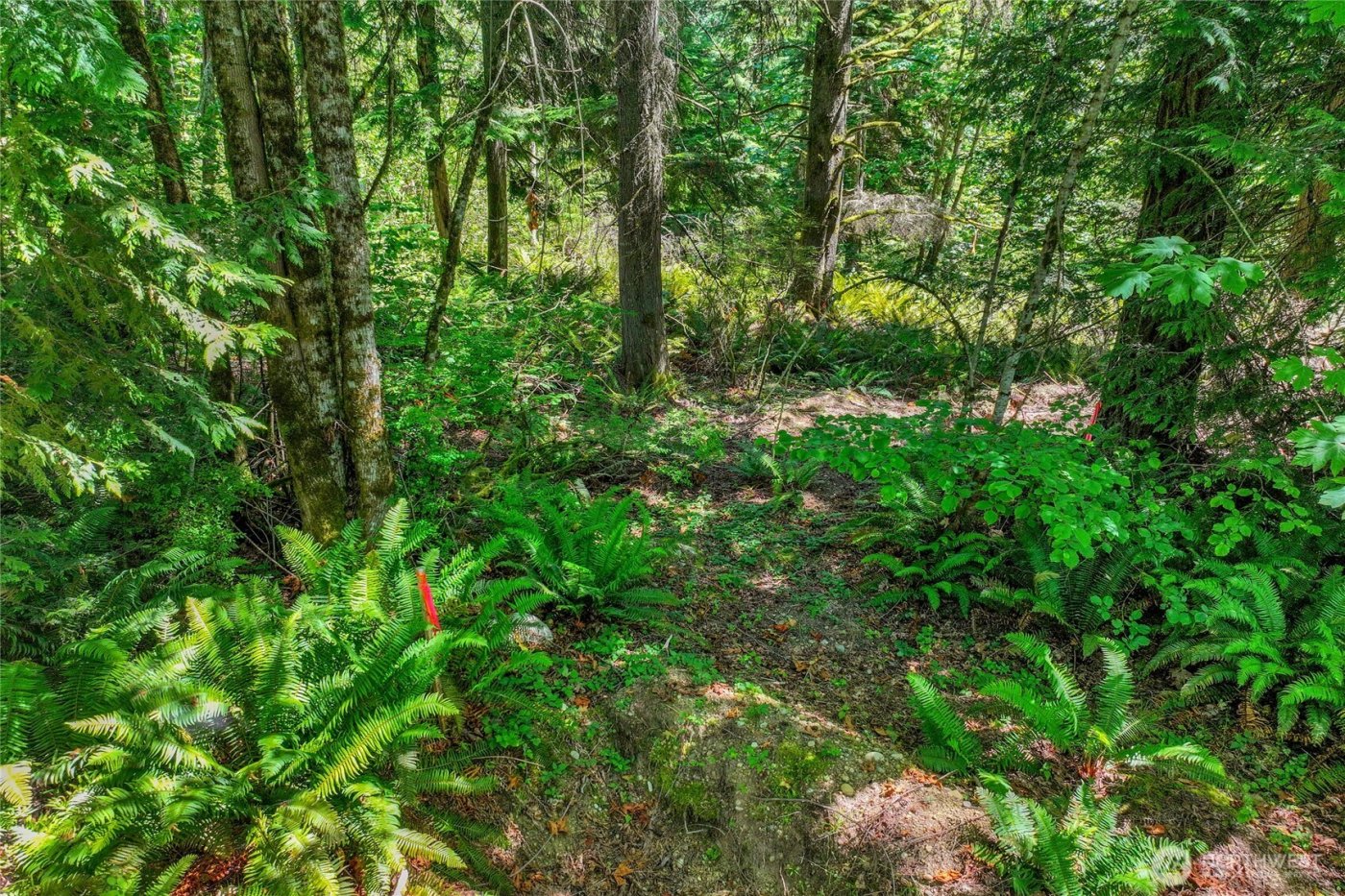 189 xx 209th Avenue SE, Monroe, WA 98272