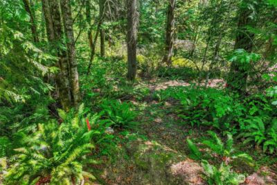 189 xx 209th Avenue SE, Monroe, WA 98272 - Photo 23