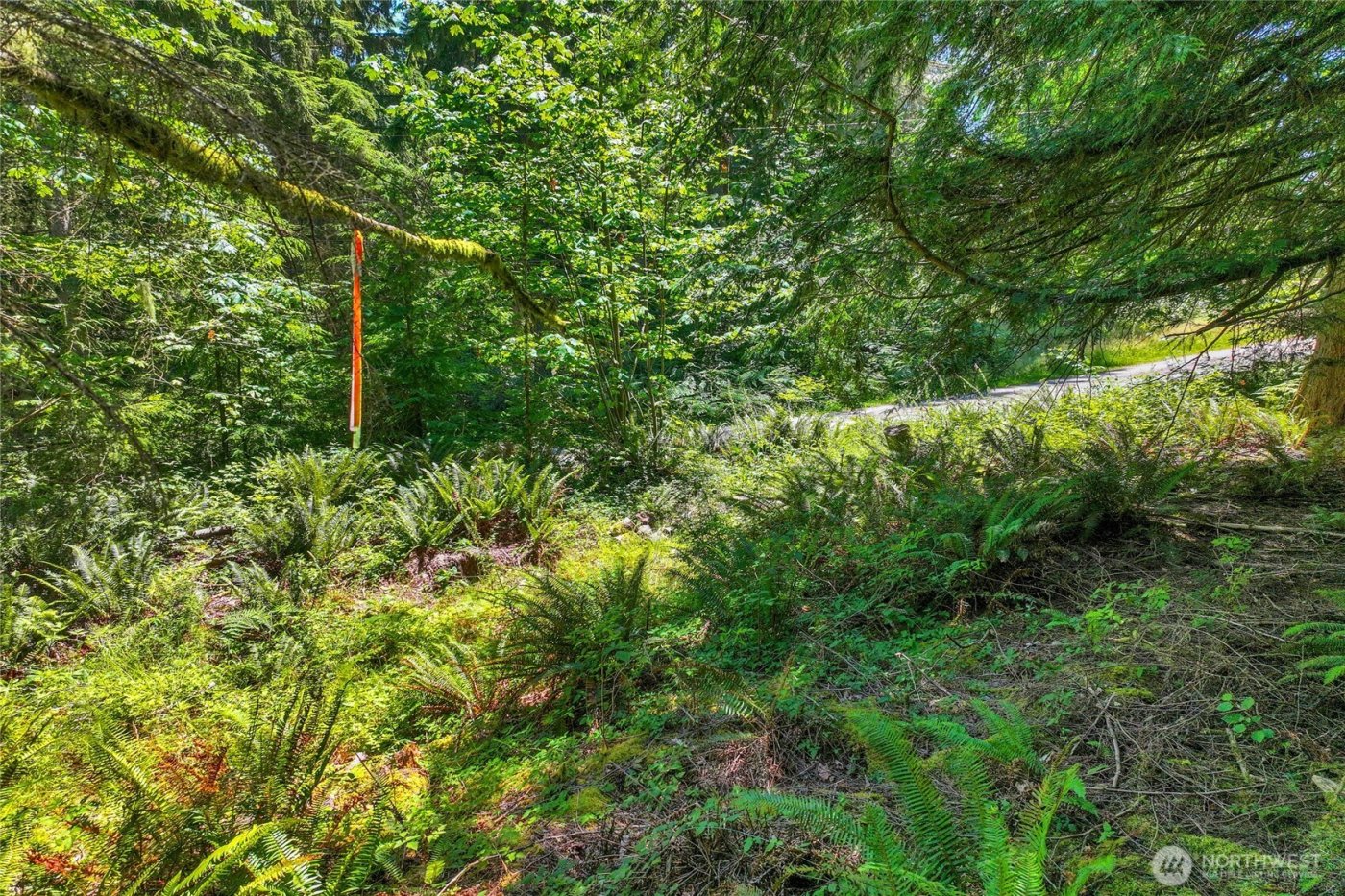 189 xx 209th Avenue SE, Monroe, WA 98272