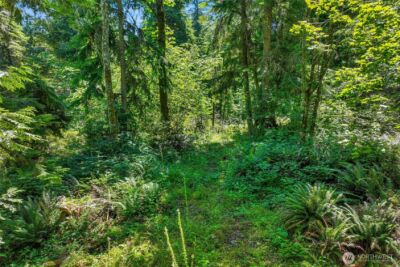 189 xx 209th Avenue SE, Monroe, WA 98272 - Photo 26