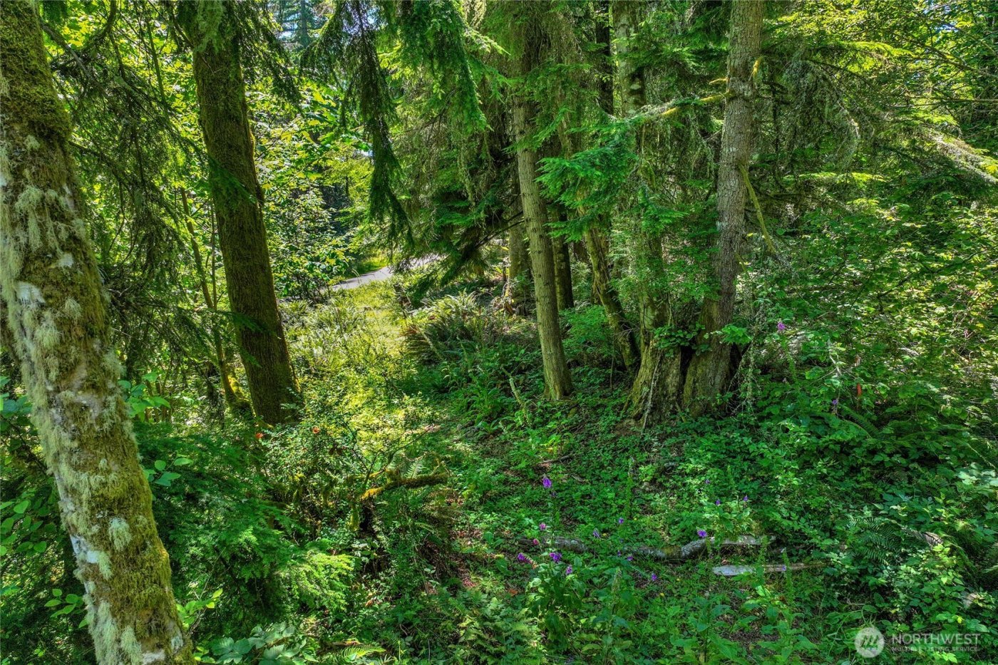 189 xx 209th Avenue SE, Monroe, WA 98272