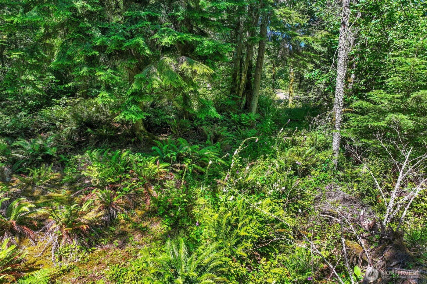 189 xx 209th Avenue SE, Monroe, WA 98272