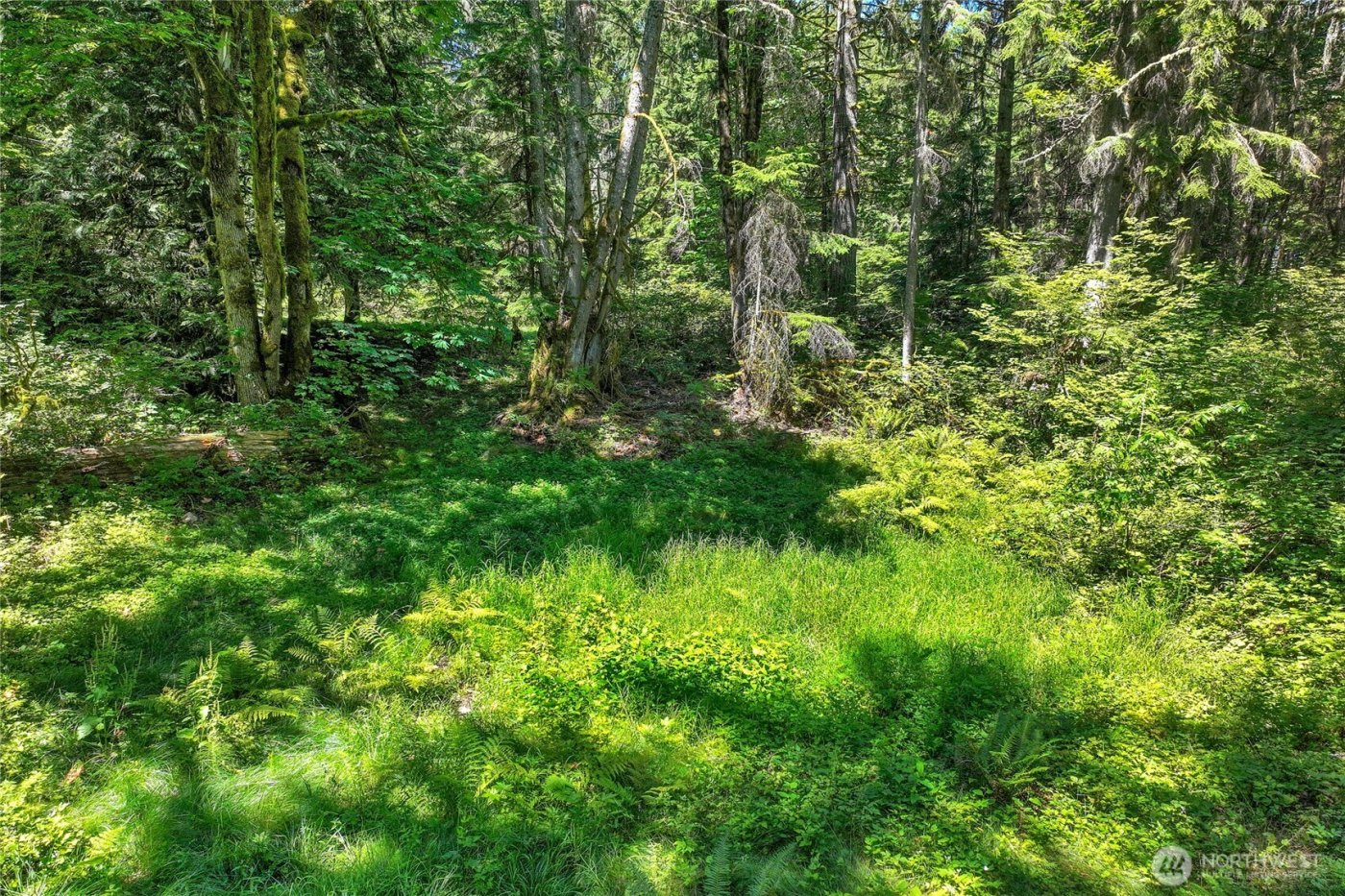 189 xx 209th Avenue SE, Monroe, WA 98272