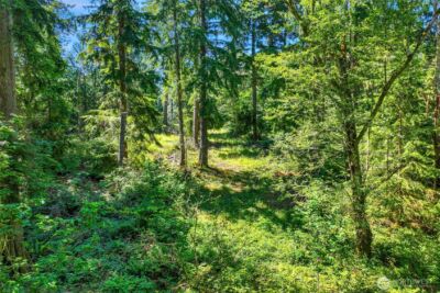 189 xx 209th Avenue SE, Monroe, WA 98272 - Photo 35