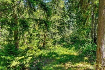 189 xx 209th Avenue SE, Monroe, WA 98272 - Photo 36
