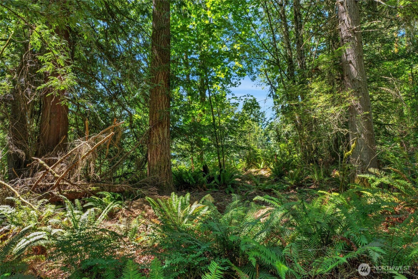 189 xx 209th Avenue SE, Monroe, WA 98272