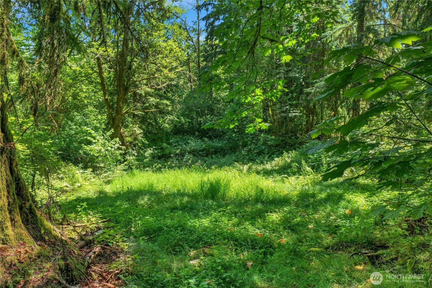 189 xx 209th Avenue SE, Monroe, WA 98272