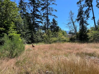 0 W 8th Street , Port Angeles, WA 98363 - Photo 15