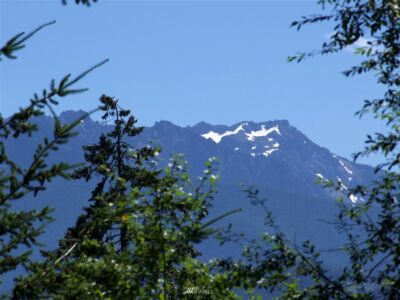 0 W 8th Street , Port Angeles, WA 98363 - Photo 10