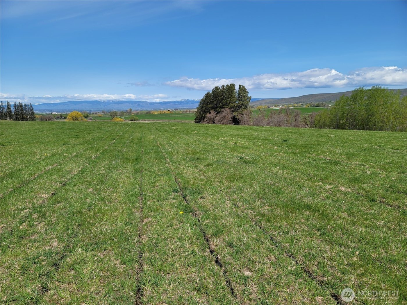 426 NKA Rolling Hill Drive , Ellensburg, WA 98926