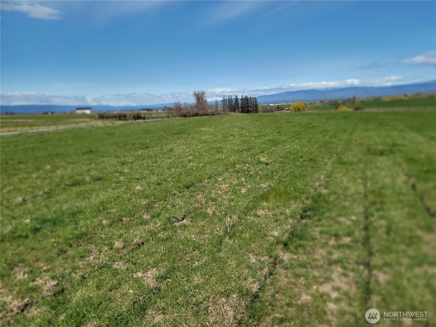 426 NKA Rolling Hill Drive , Ellensburg, WA 98926