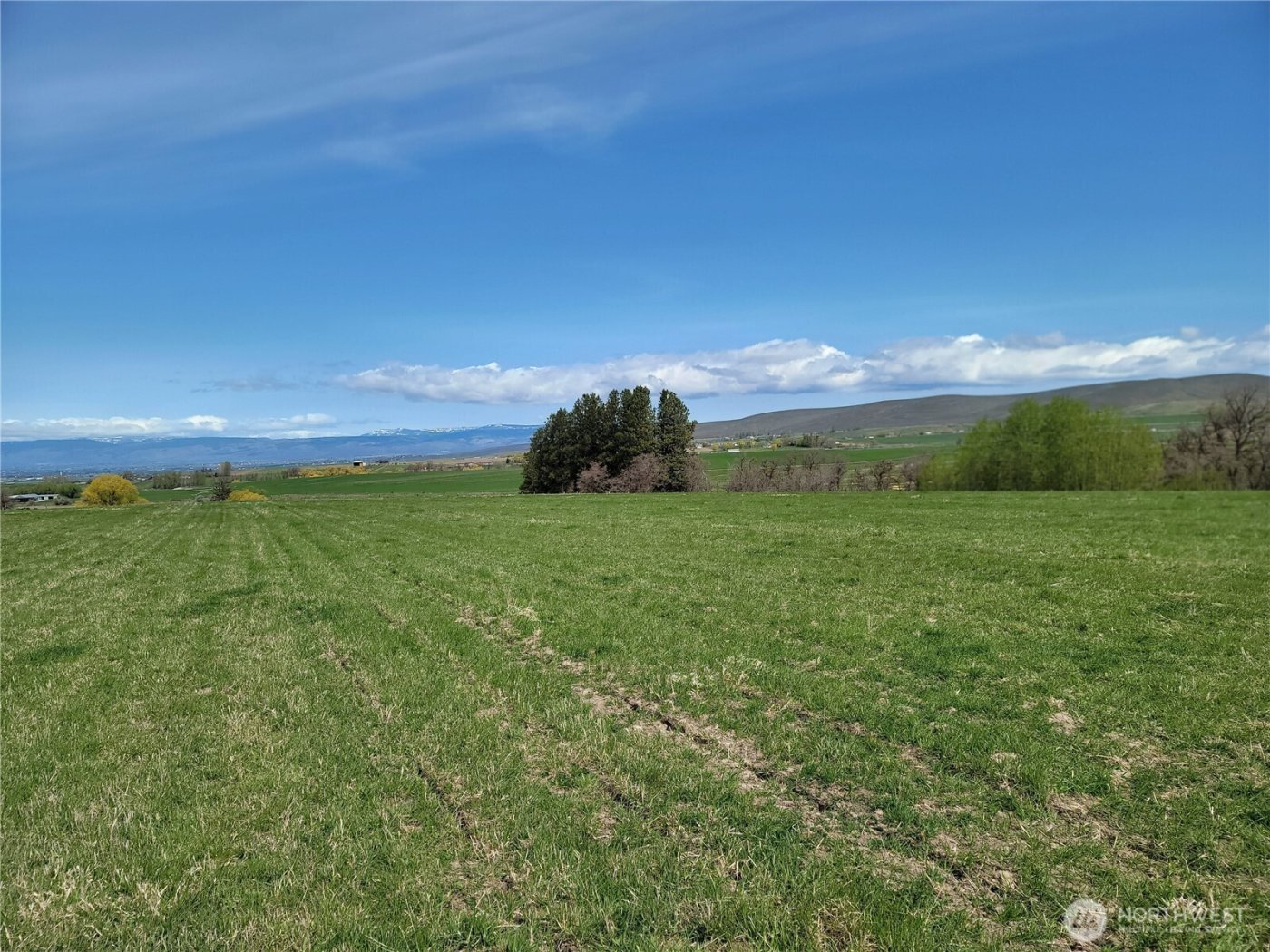 426 NKA Rolling Hill Drive , Ellensburg, WA 98926