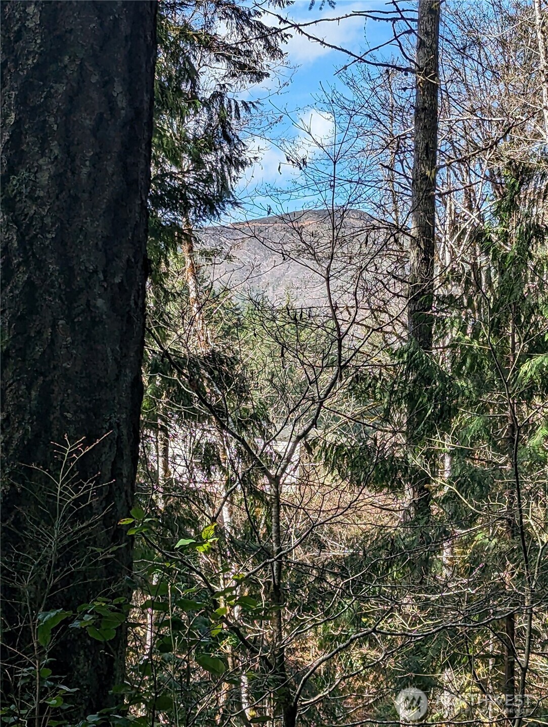 390 N Duckabush Drive W, Hoodsport, WA 98548