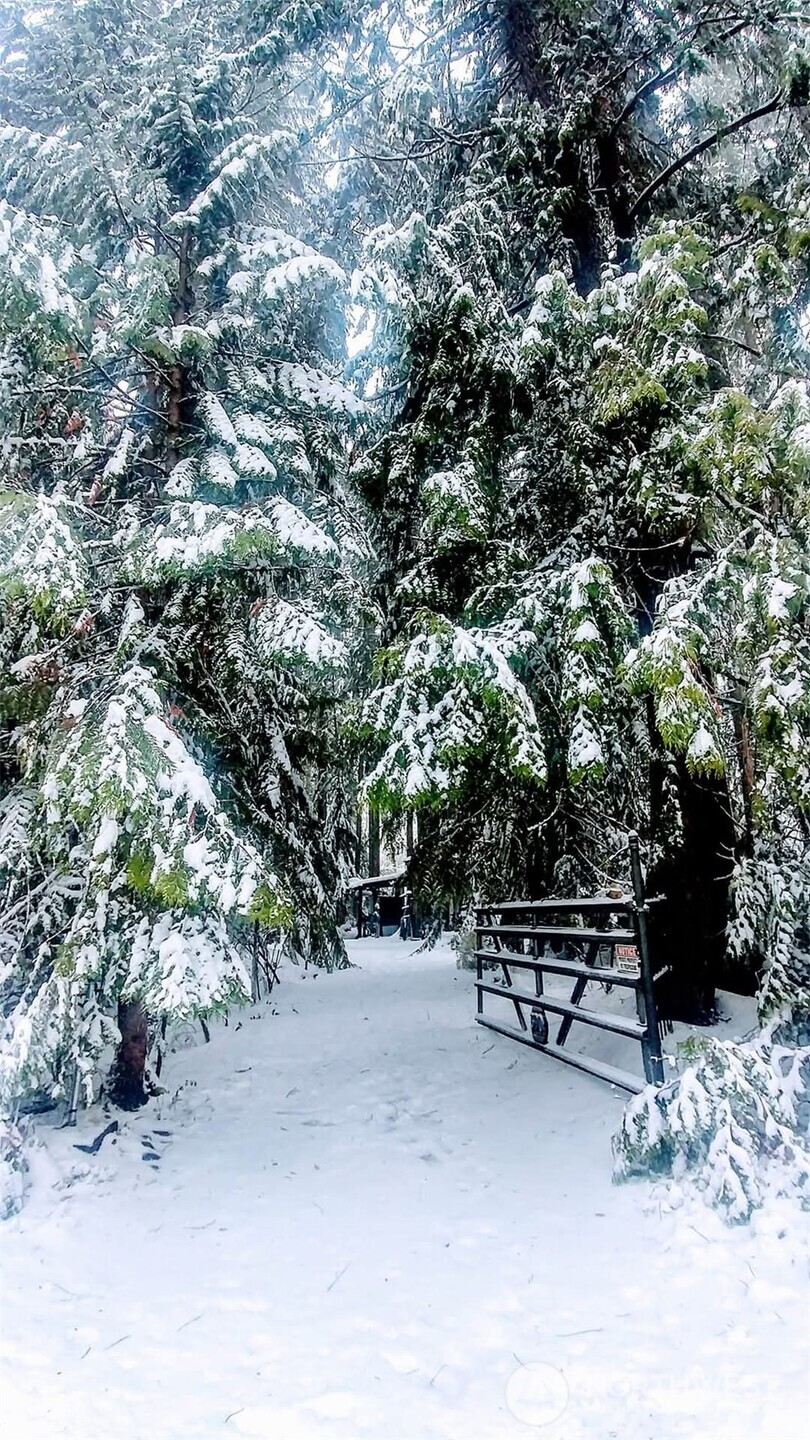 390 N Duckabush Drive W, Hoodsport, WA 98548