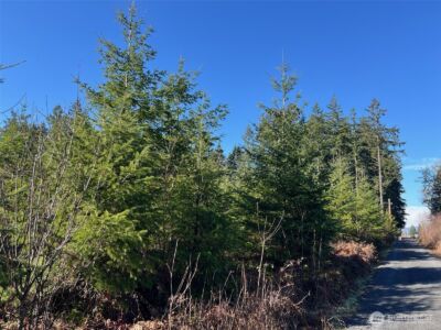0 Winter Road , Winlock, WA 98596