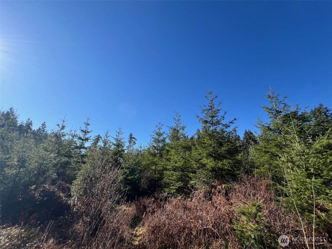 0 Winter Road , Winlock, WA 98596