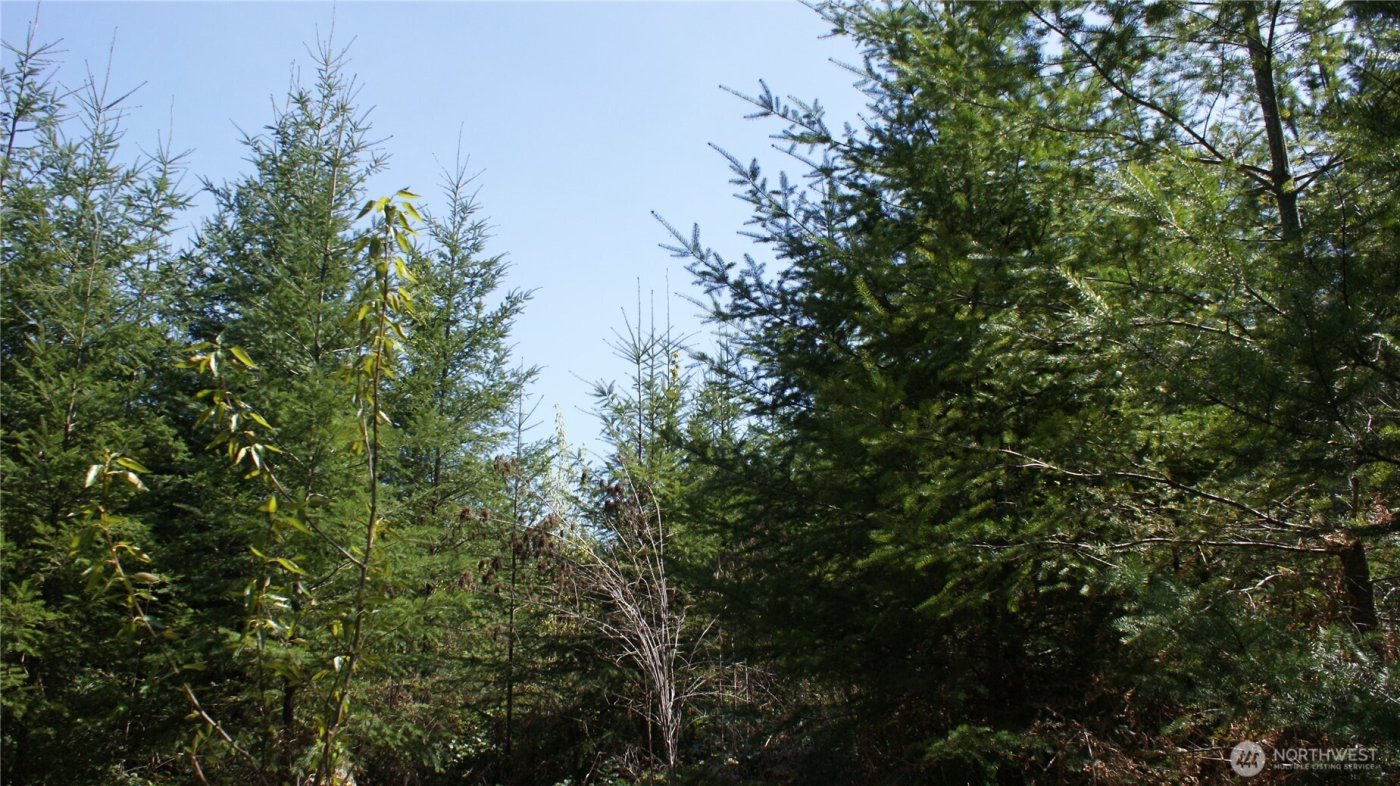 0 Winter Road , Winlock, WA 98596