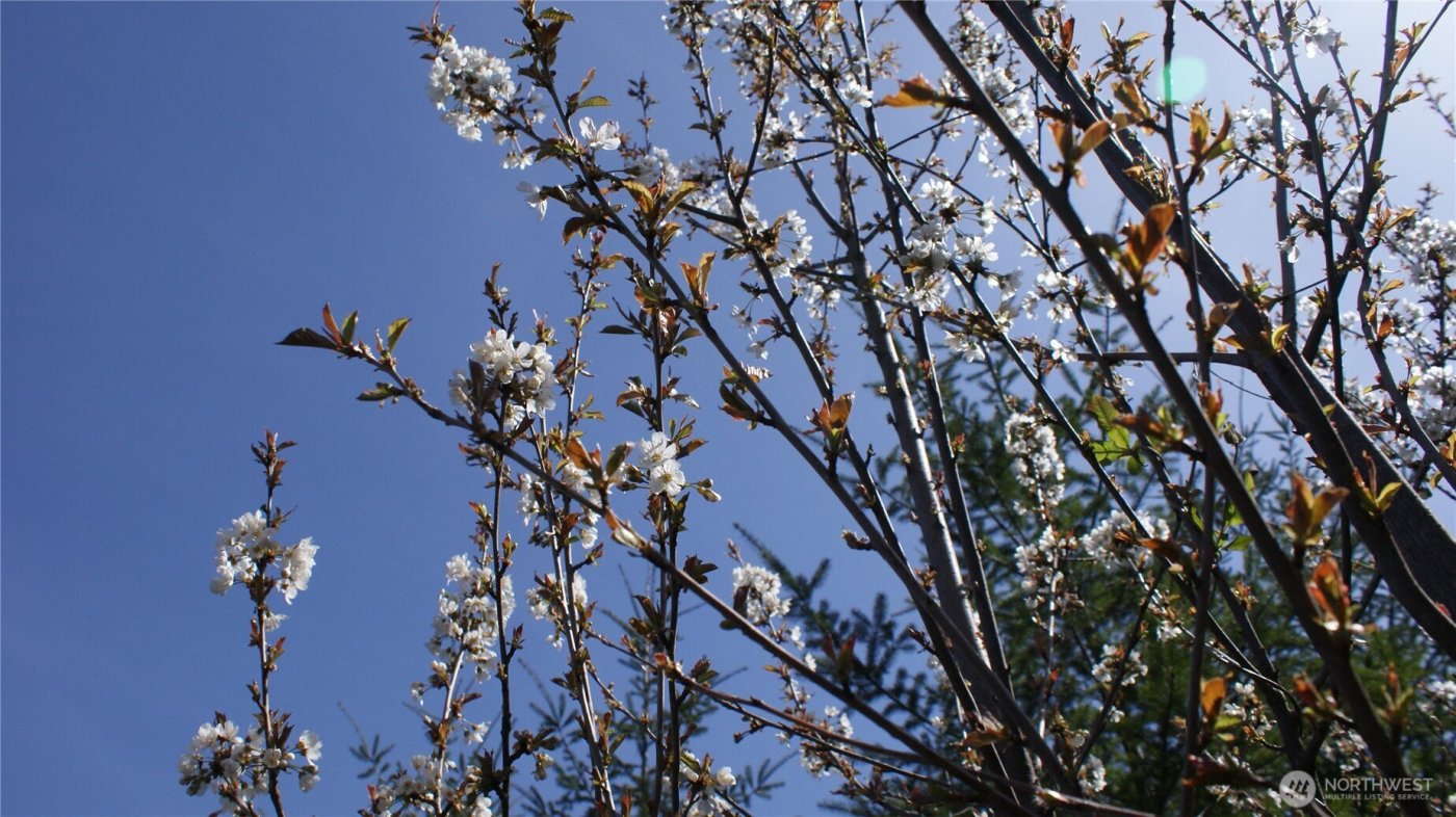 0 Winter Road , Winlock, WA 98596