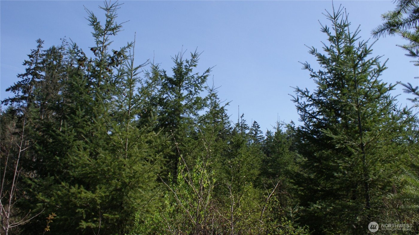 0 Winter Road , Winlock, WA 98596