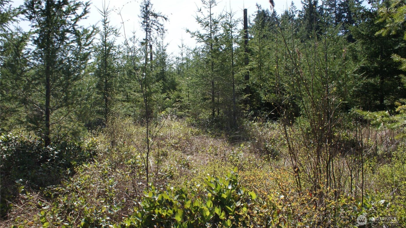 0 Winter Road , Winlock, WA 98596