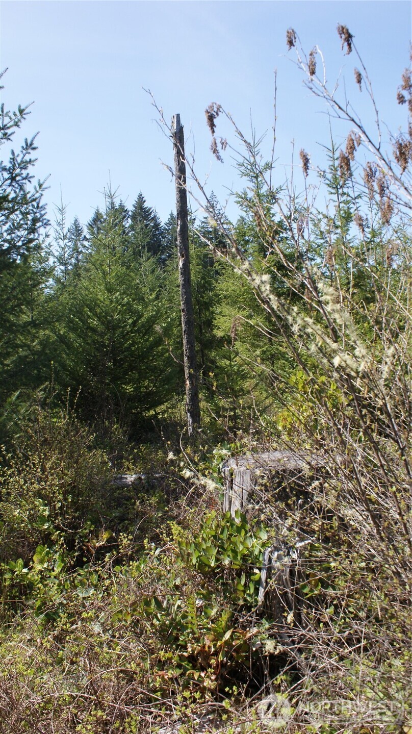 0 Winter Road , Winlock, WA 98596