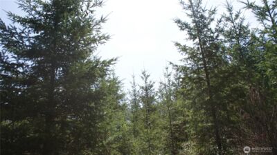 0 Winter Road , Winlock, WA 98596 - Photo 24