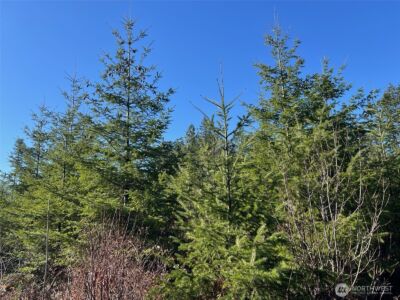 0 Winter Road , Winlock, WA 98596 - Photo 3