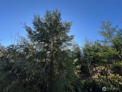 0 Winter Road , Winlock, WA 98596 - Photo 4